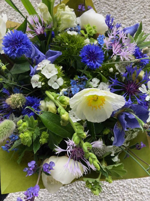 Aberdeenshire flowers